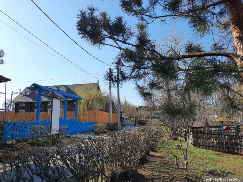 Весна в парке (пепита от Антонио Хуан)