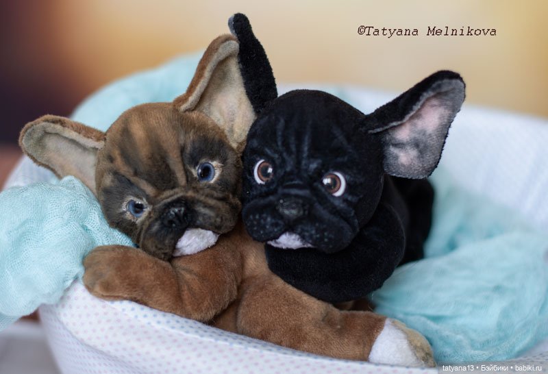 Две сладкие булички-тэдди Корица и Маковка