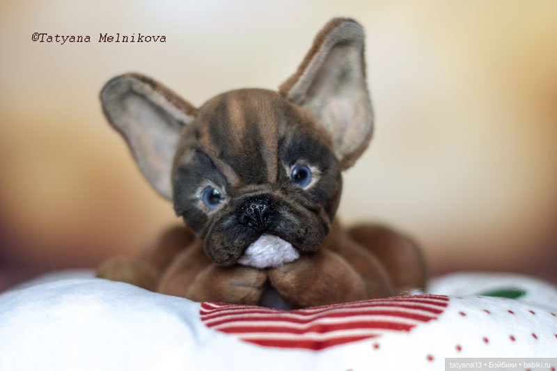 Две сладкие булички-тэдди Корица и Маковка