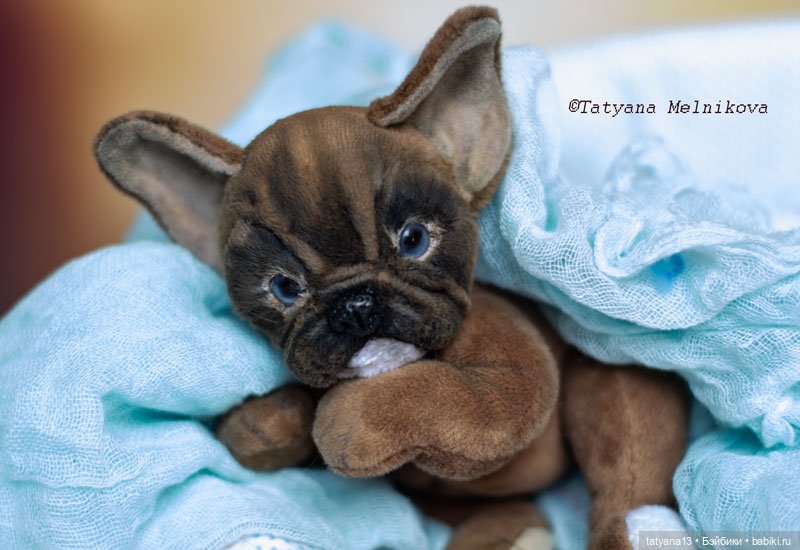 Две сладкие булички-тэдди Корица и Маковка