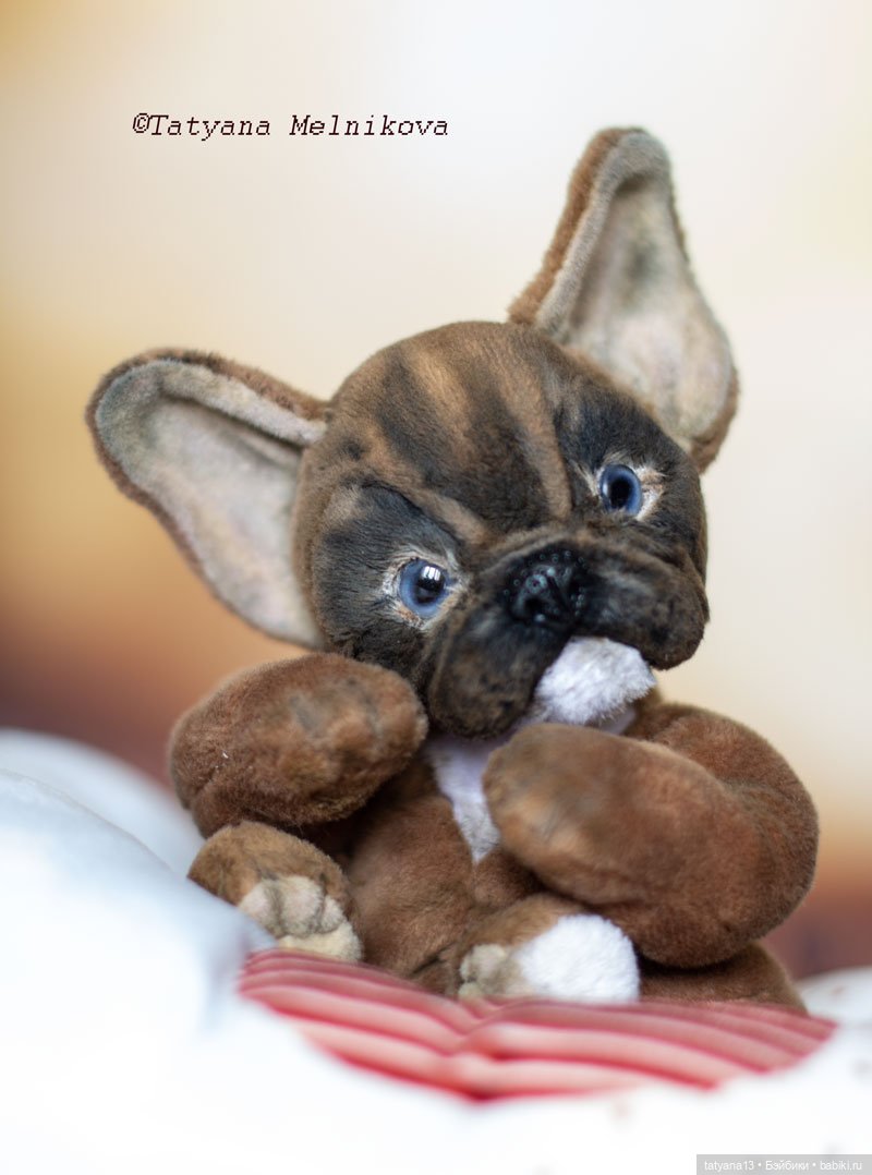 Две сладкие булички-тэдди Корица и Маковка