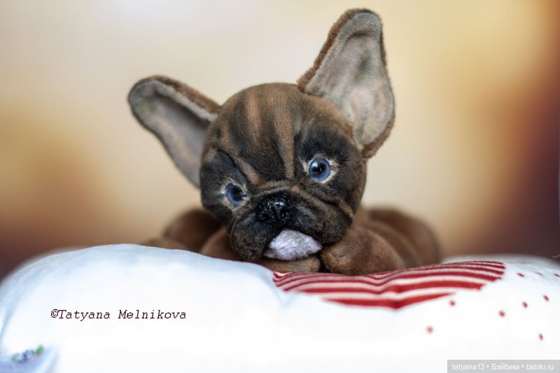 Две сладкие булички-тэдди Корица и Маковка