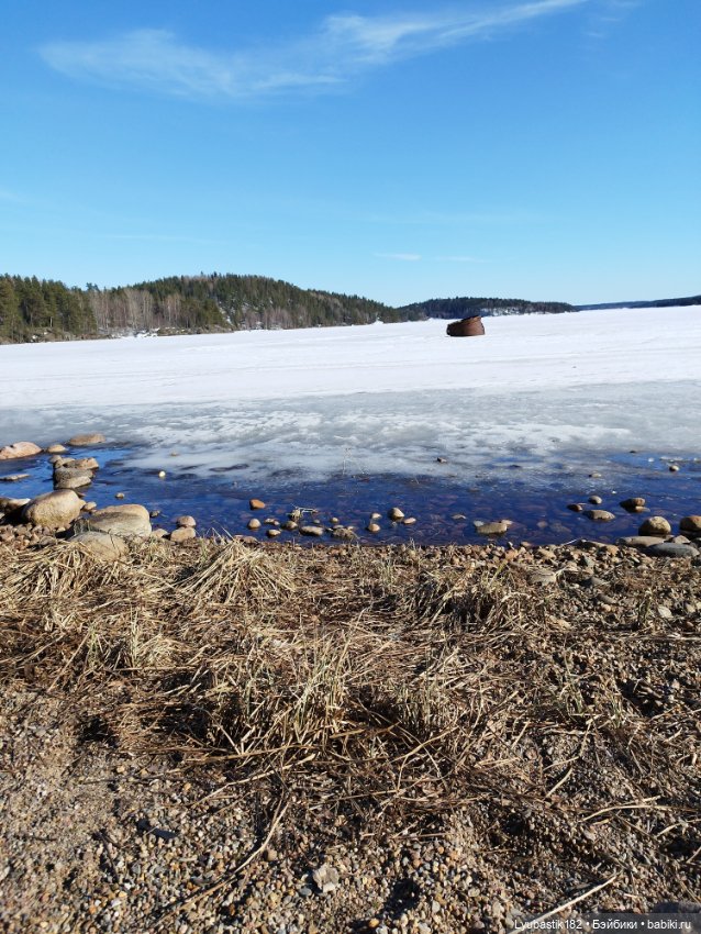 Меланхолия — Коллекционные экшн