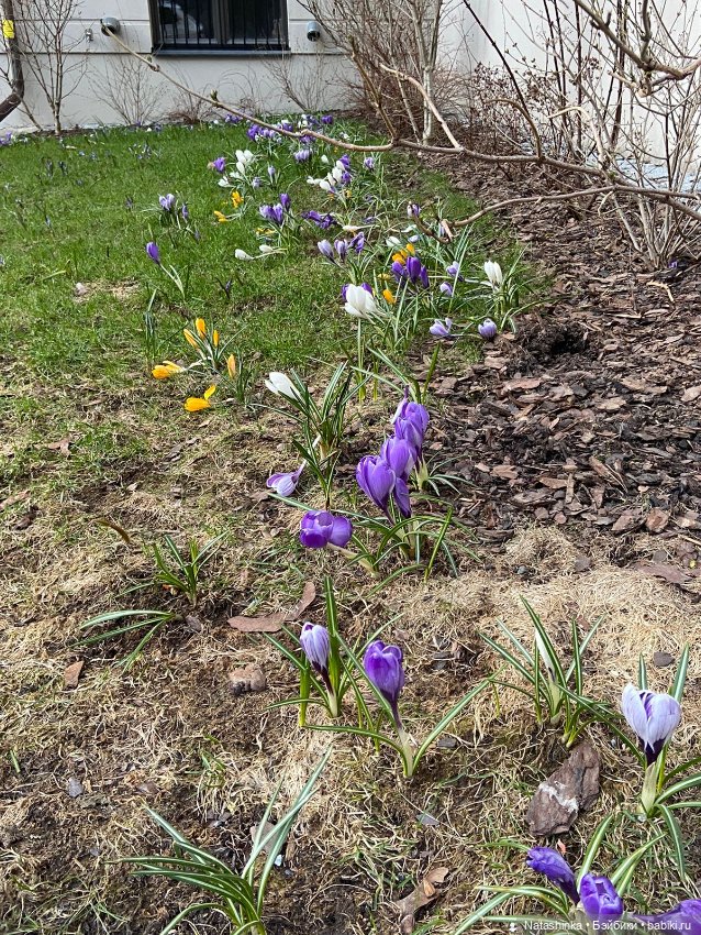 Fashion Dolls 495 — Туризм и путешествия: фотоотчеты из поездок