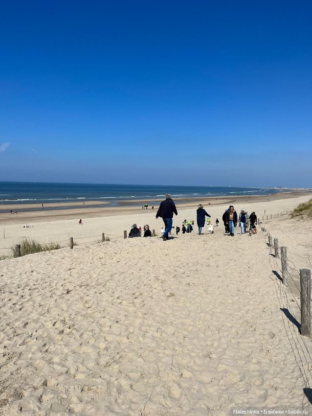 Fashion Dolls 495 — Туризм и путешествия: фотоотчеты из поездок