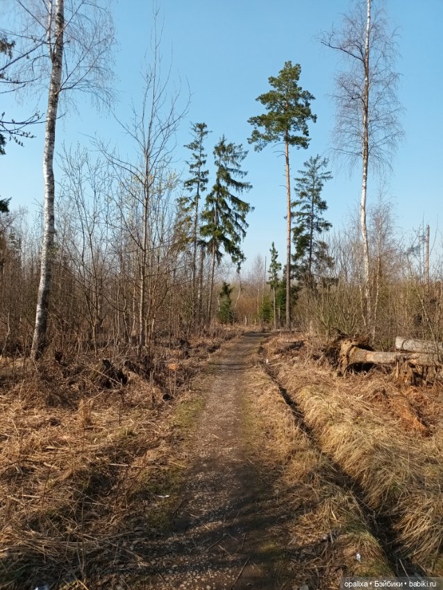 Весенняя прогулка в лесу — Одежда и обувь для кукол своими руками: фото (фото 4)