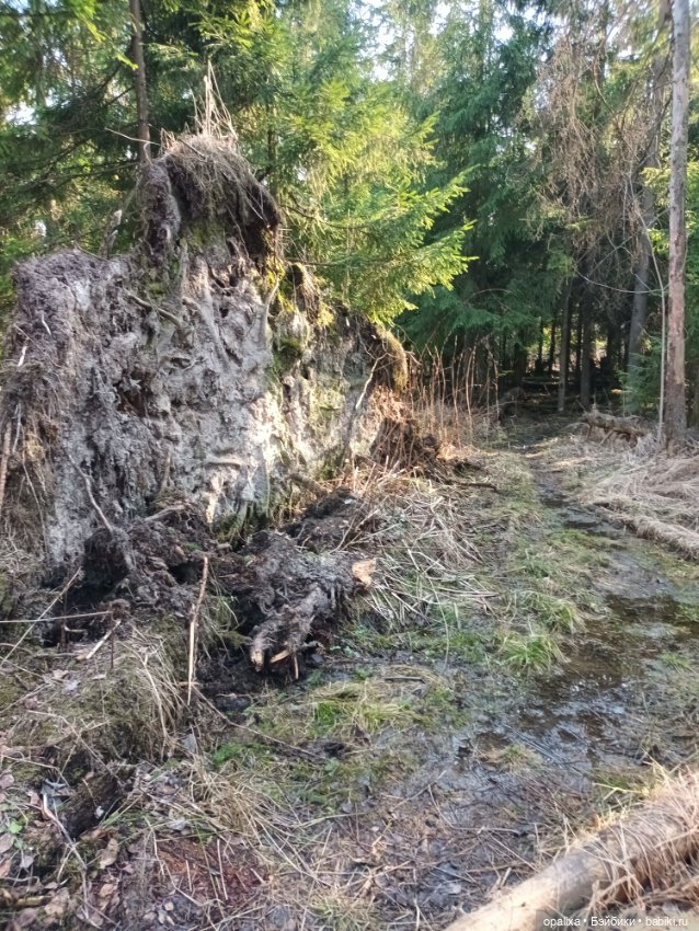 Весенняя прогулка в лесу — Одежда и обувь для кукол своими руками: фото
