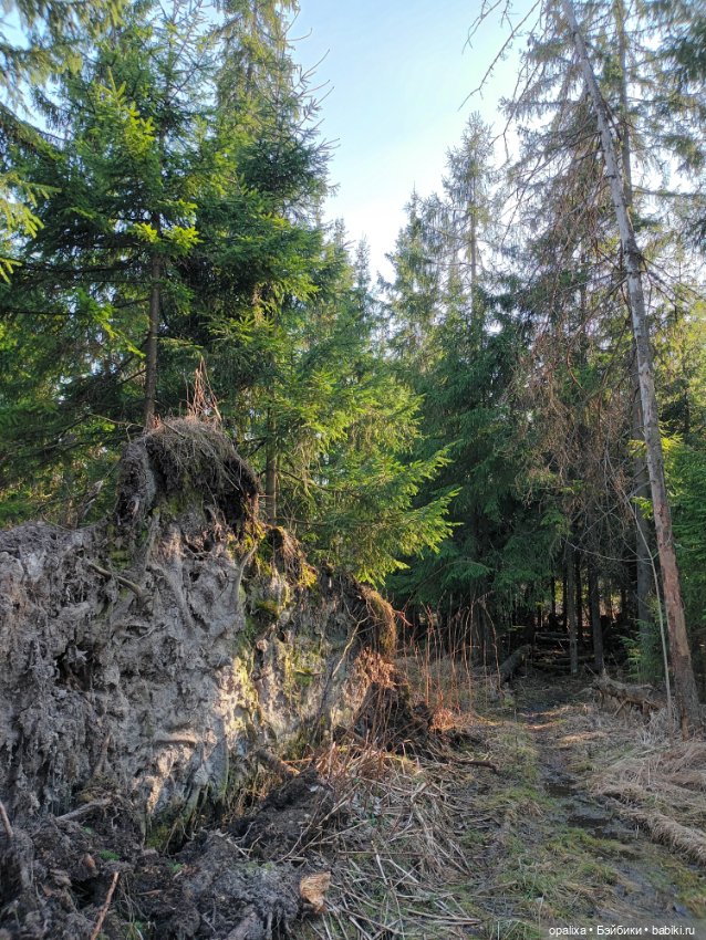 Весенняя прогулка в лесу — Одежда и обувь для кукол своими руками: фото