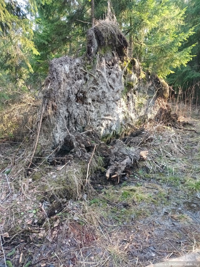 Весенняя прогулка в лесу — Одежда и обувь для кукол своими руками: фото