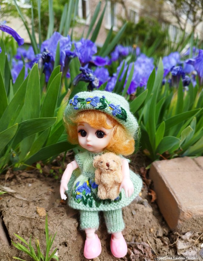 Тея и голубые ирисы на клумбе (фото 9)