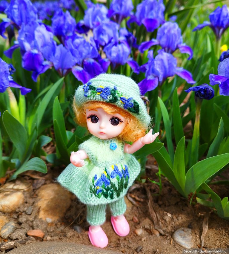 Тея и голубые ирисы на клумбе (фото 4)