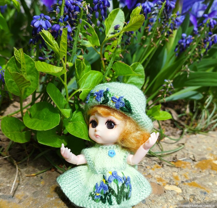 Тея и голубые ирисы на клумбе (фото 6)