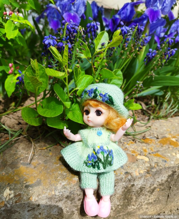 Тея и голубые ирисы на клумбе (фото 7)