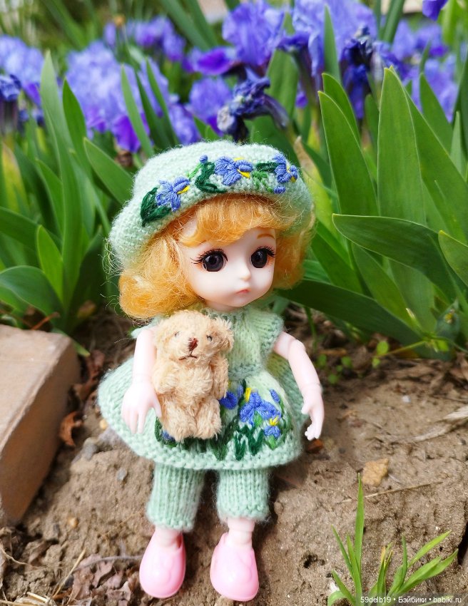 Тея и голубые ирисы на клумбе (фото 8)