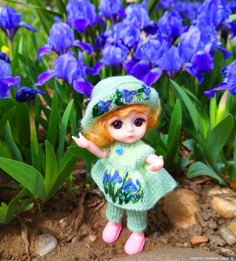 Тея и голубые ирисы на клумбе (фото 2)