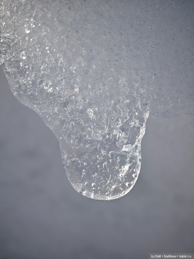 За бортом -7, но первые цветочки не из пугливых (фото 5)