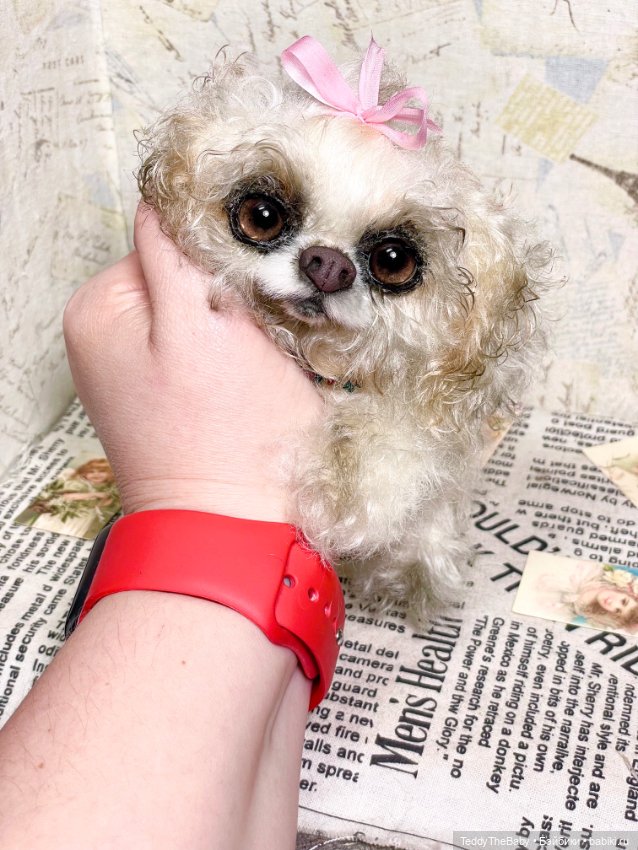 Curly 🎀 — Реалистичные игрушки и звери (Натюр): собаки