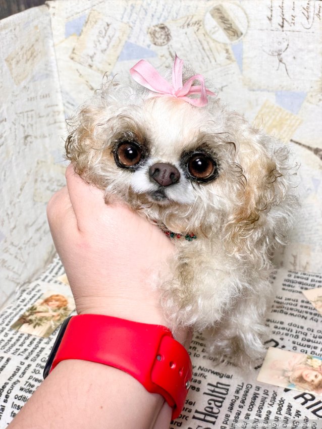 Curly 🎀 — Реалистичные игрушки и звери (Натюр): собаки (фото 2)