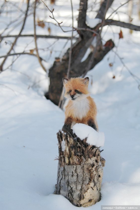 Фотосессия в лесу — Авторские мишки Тедди и друзья: фото