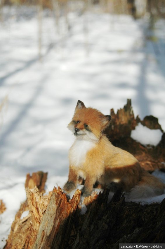 Фотосессия в лесу — Авторские мишки Тедди и друзья: фото