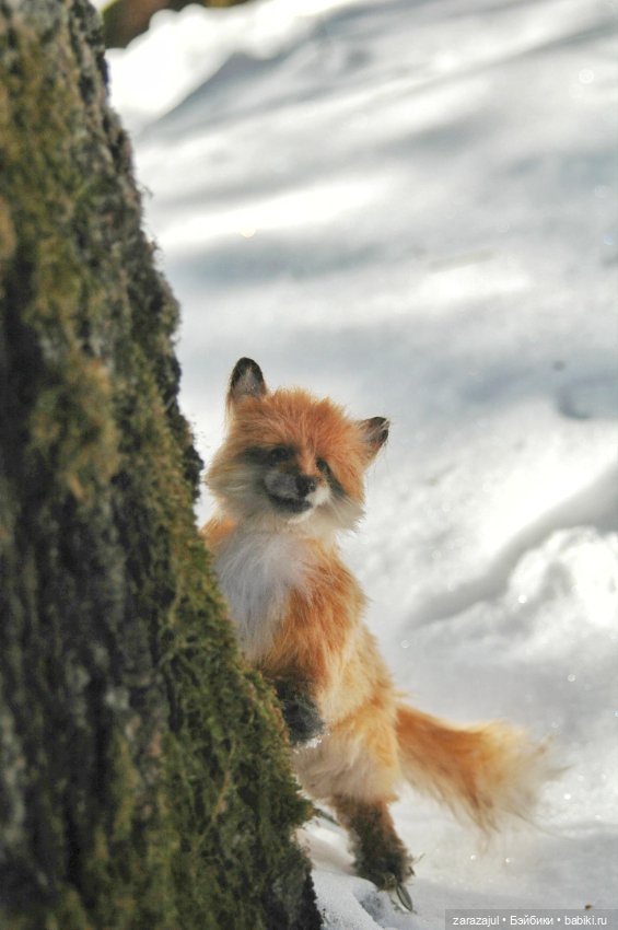 Фотосессия в лесу — Авторские мишки Тедди и друзья: фото