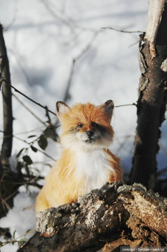 Фотосессия в лесу — Авторские мишки Тедди и друзья: фото (фото 8)