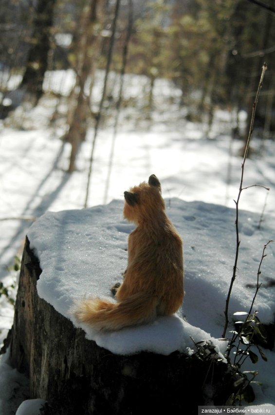 Фотосессия в лесу — Авторские мишки Тедди и друзья: фото