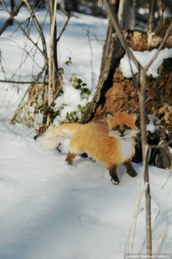 Фотосессия в лесу — Авторские мишки Тедди и друзья: фото