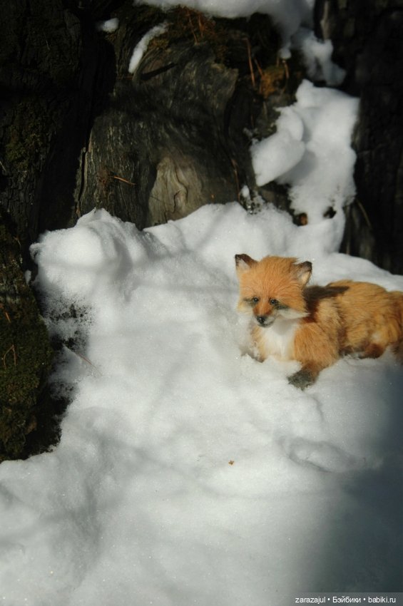 Фотосессия в лесу — Авторские мишки Тедди и друзья: фото