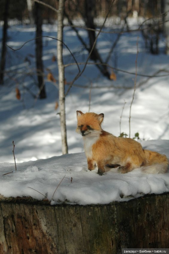 Фотосессия в лесу — Авторские мишки Тедди и друзья: фото