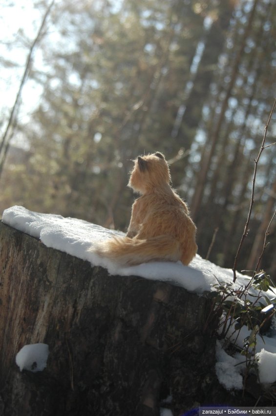 Фотосессия в лесу — Авторские мишки Тедди и друзья: фото