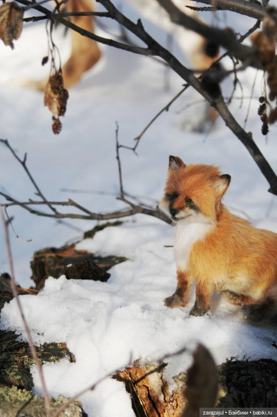 Фотосессия в лесу — Авторские мишки Тедди и друзья: фото
