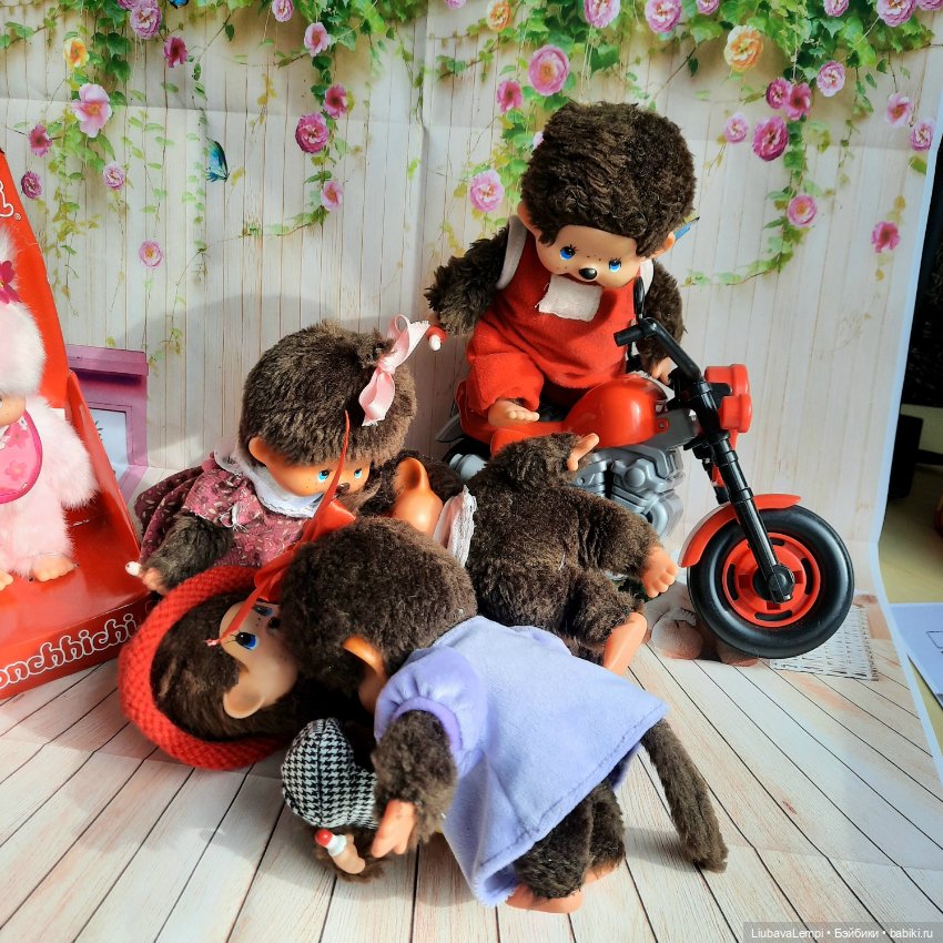 Мы тоже хотим играть.Или выходной день с Монччичи