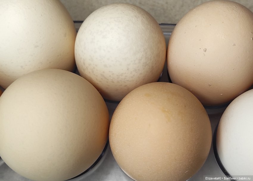 Со светлым праздником. Realpuki