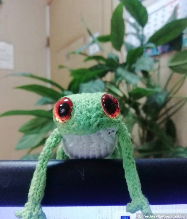 Карманный друг лягушонок (✿◠‿◠) (фото 7)