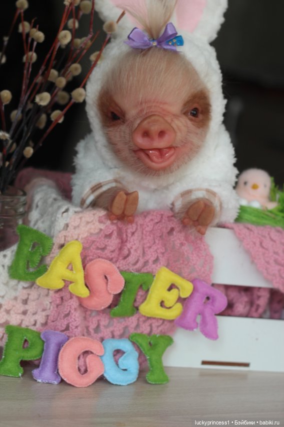 Маленький Пасхальный зайчик. Свинка реборн из молда Fawn (фото 8)