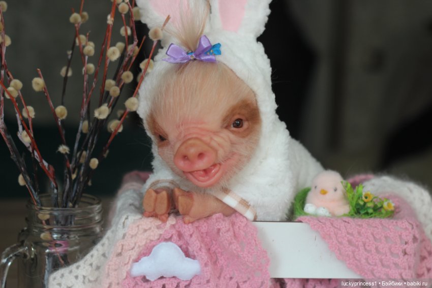Маленький Пасхальный зайчик. Свинка реборн из молда Fawn
