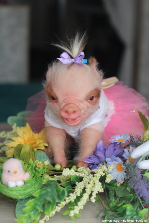 Маленький Пасхальный зайчик. Свинка реборн из молда Fawn