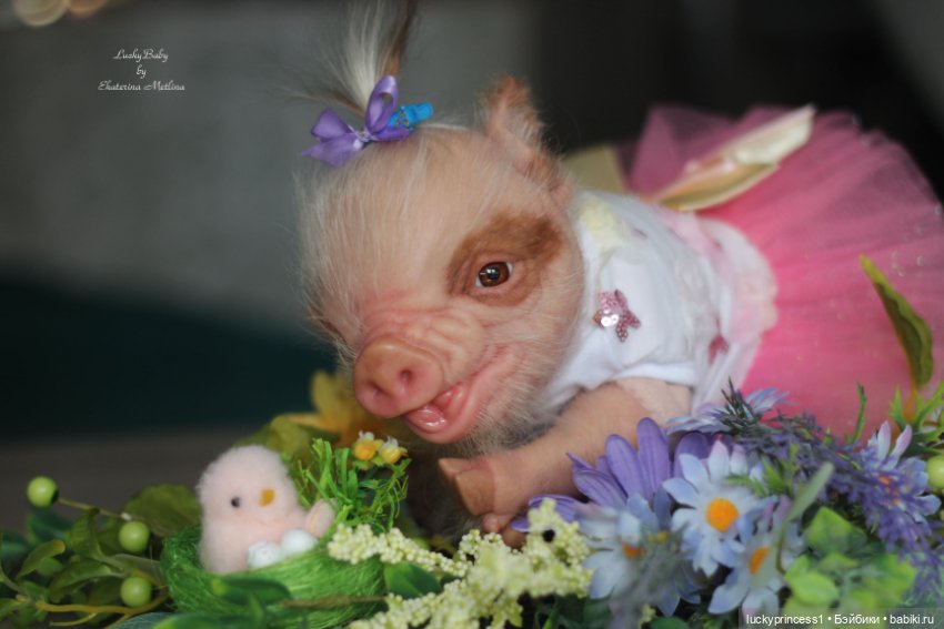 Маленький Пасхальный зайчик. Свинка реборн из молда Fawn