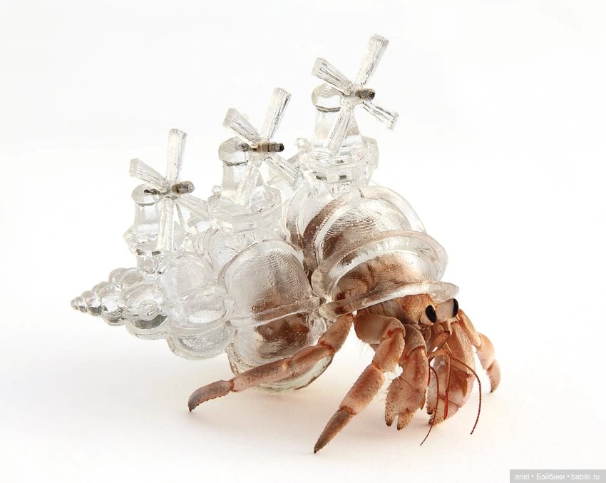 Стеклянное искусство японской художницы Аки Иномата (Aki Inomata) (фото 7)