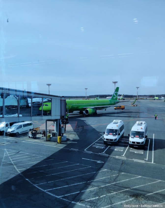 Сочи: Приключения начинаются (фото 4)