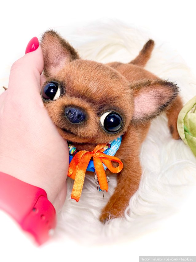 Филл🐶 — Реалистичные игрушки и звери (Натюр): собаки