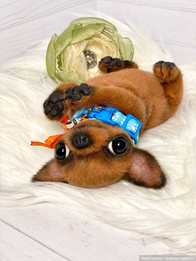 Филл🐶 — Реалистичные игрушки и звери (Натюр): собаки (фото 4)