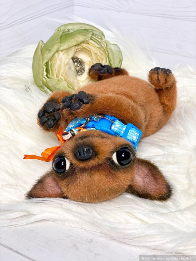 Филл🐶 — Реалистичные игрушки и звери (Натюр): собаки (фото 6)