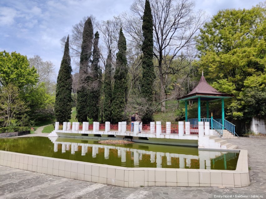 Сочи: Дендрарий — Туризм и путешествия: фотоотчеты из поездок