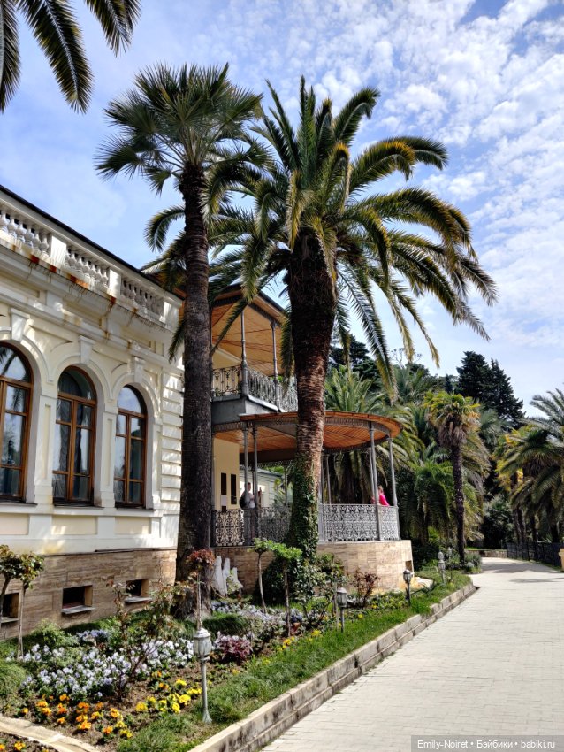 Сочи: Дендрарий — Туризм и путешествия: фотоотчеты из поездок