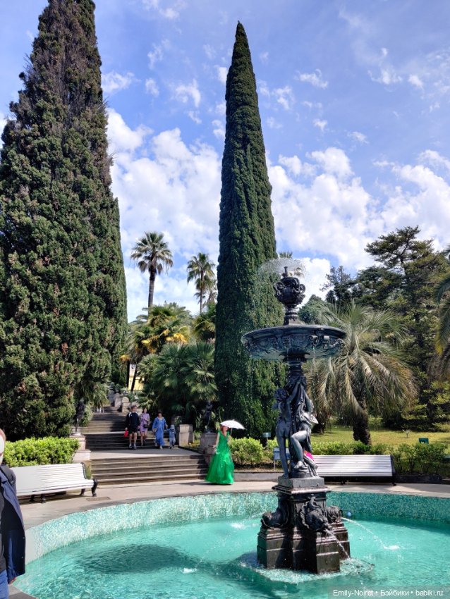 Сочи: Дендрарий — Туризм и путешествия: фотоотчеты из поездок