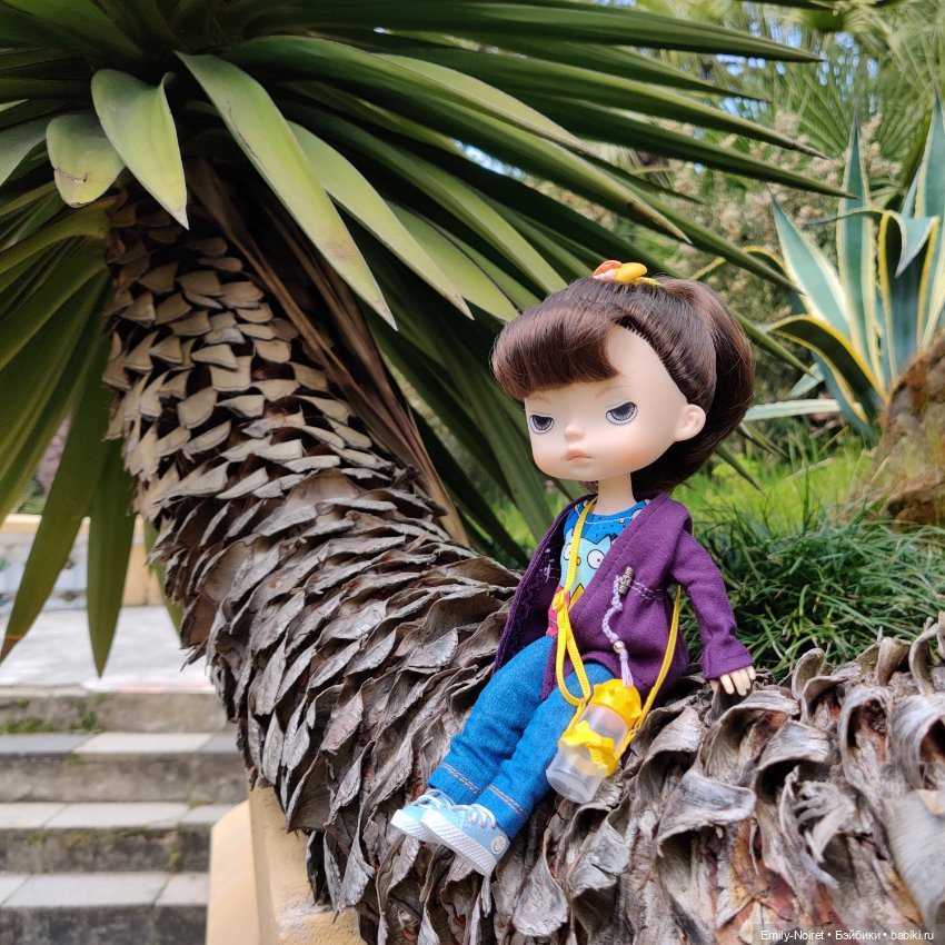 Сочи: Дендрарий — Туризм и путешествия: фотоотчеты из поездок (фото 6)