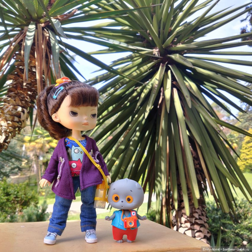 Сочи: Дендрарий — Туризм и путешествия: фотоотчеты из поездок