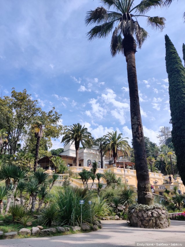 Сочи: Дендрарий — Туризм и путешествия: фотоотчеты из поездок